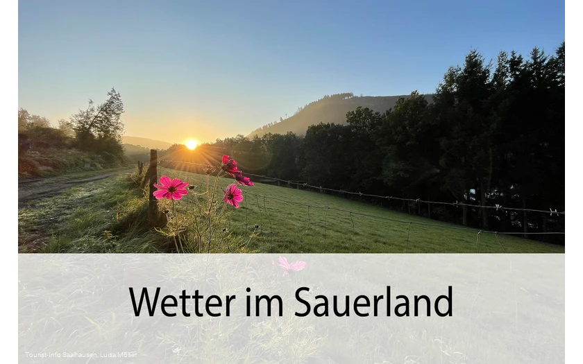 Wetter