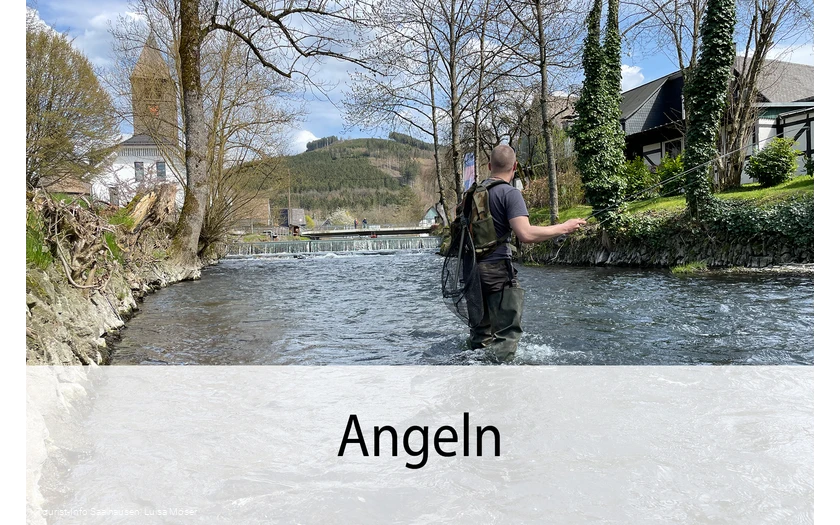 Angeln