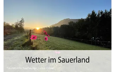 Wetter