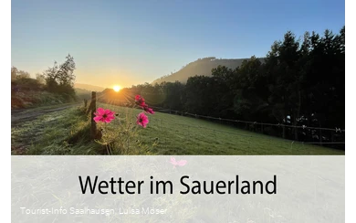 Wetter