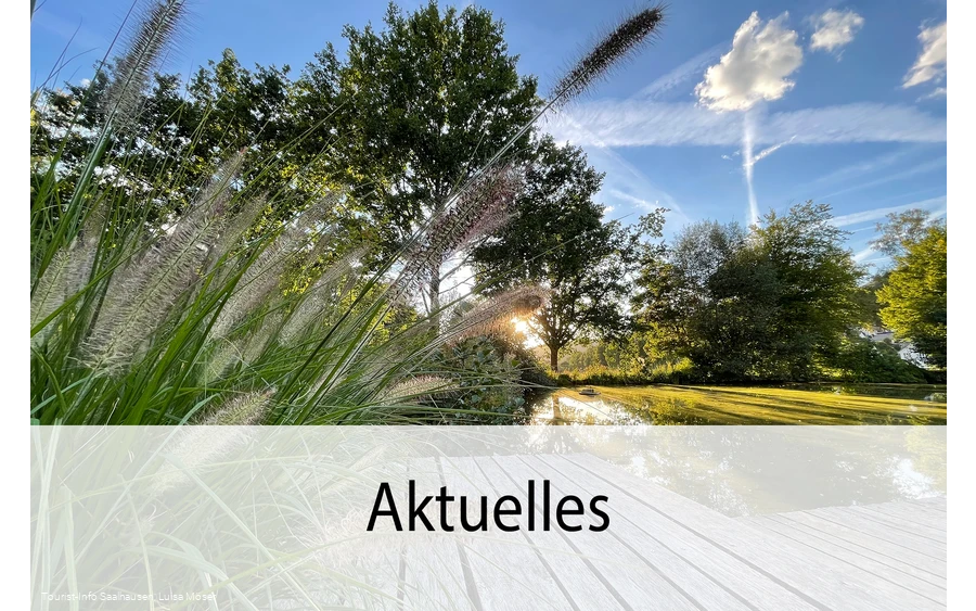 Aktuelles