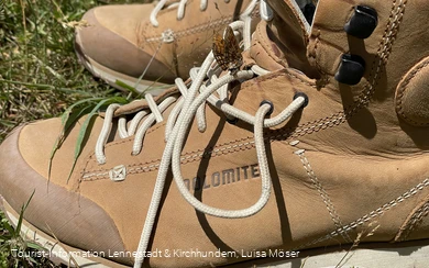 Wanderschuh mit Schmetterling