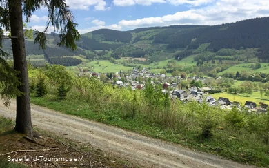 Blick auf Lennestadt-Saalhausen