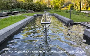 Tretbecken im Kurpark