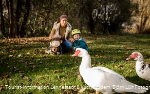Familie mit Enten
