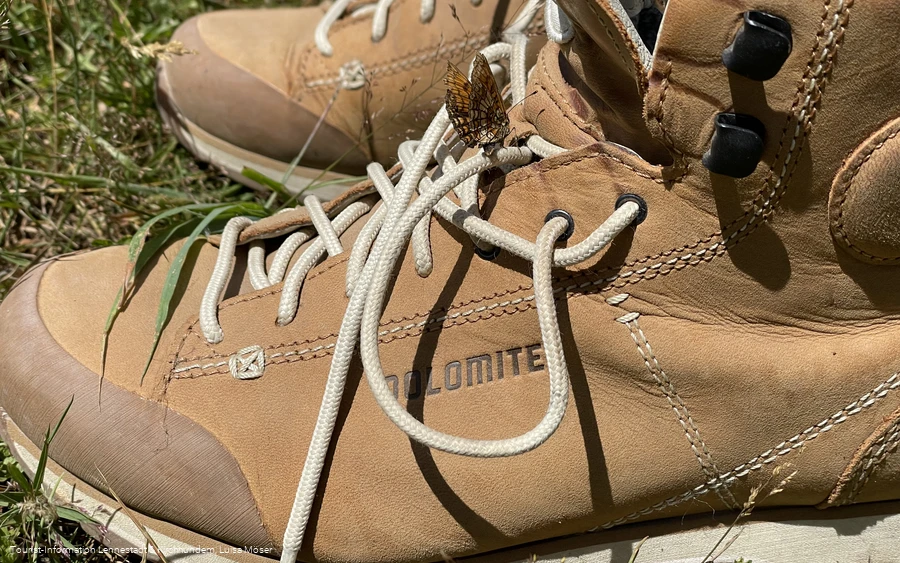 Wanderschuh mit Schmetterling Wanderschuh mit Schmetterling