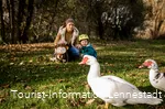 Familie mit Enten